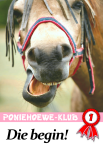 Die Poniehoewe-Klub Die Poniehoewe-Klub