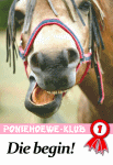 Die Poniehoewe-Klub
